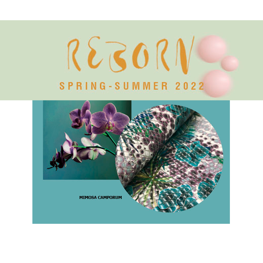 Reborn; Los estampados de Hosbo