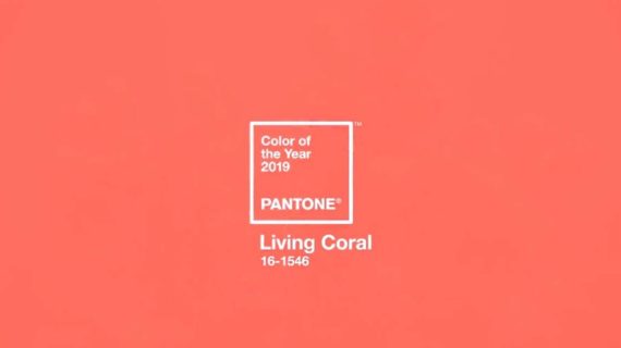 Pantone lanza su color del año y en Hosbo nos hacemos eco